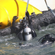 Image for article titled Two cannons have been raised from Blackbeard's sunken ship